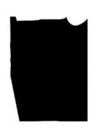Post thumbnail or placeholder
